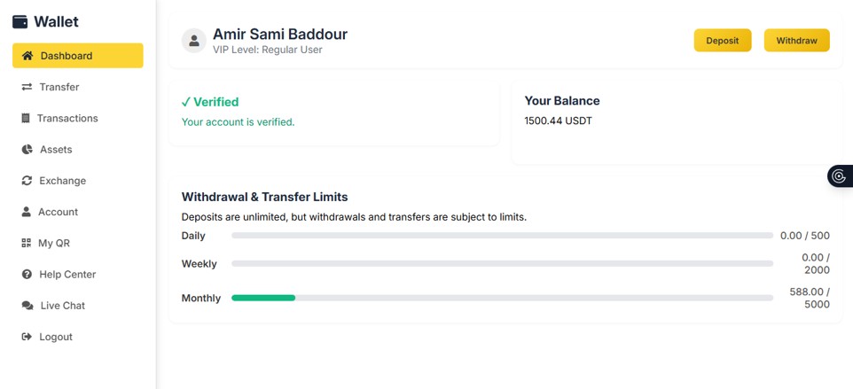 Digital wallet dashboard showing account balance, transfers, QR payments, and transaction history